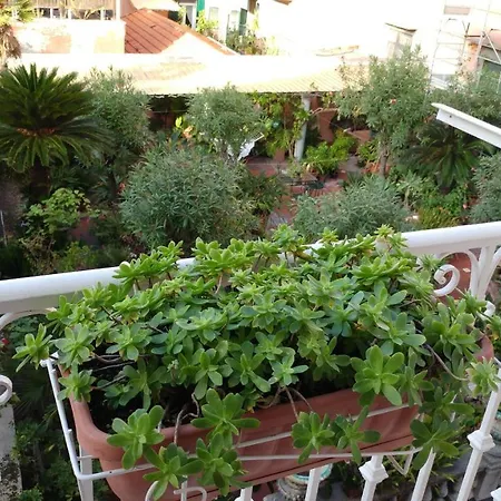 Luisella Apartment